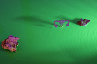 33_screen-shot-2022-01-16-at-154430.png